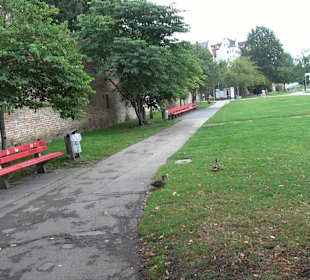 Uferpromenade Donau