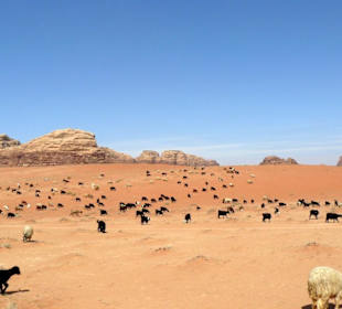Wadi Rum