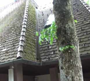 Friedhof Wittlensweiler