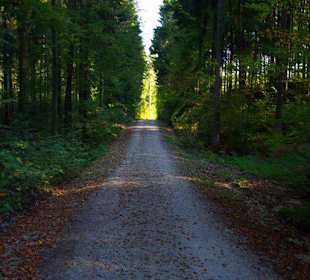 Wanderung zum Signalstein Fränk.Schweiz