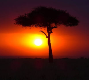 Sonnenuntergang in der Mara