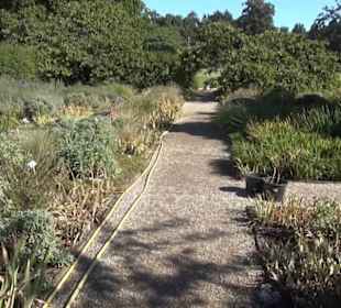 Irisgarten - Berggarten