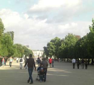 Jardin du Tuilieres