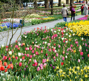 Blumenpracht im Keukenhof