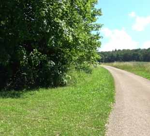 Burg Hölnstein Stetten u. Holstein