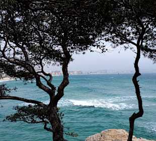 Platja Castello