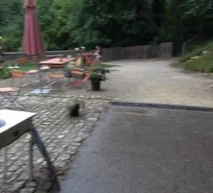 Museum Römer und Bajuwaren