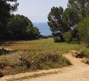 Spaziergang 