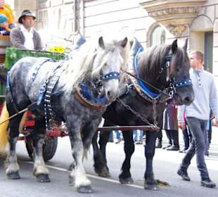 Spielmannszug der FFW Herzogenaurach