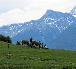 Von der Wanderung Sonnensteig