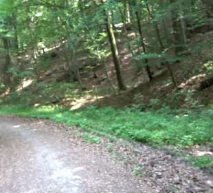 Rundwanderung Klingenbachtal - Sulzbachsee