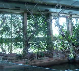Terrarium
