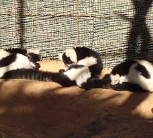 Sind wir noch müde!