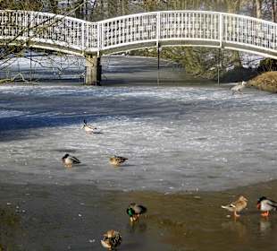 ImpressionOstern2013