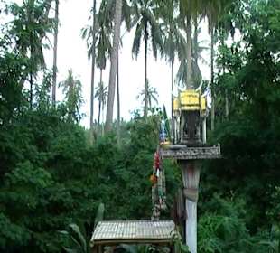 Geisterhaus "Tonpalm"