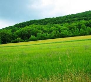 Der Stausee und seine Umgebung