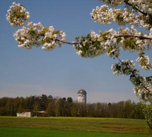 Blick zum Taurastein