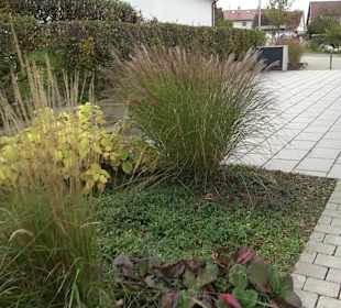 Dorfgemeinschafts- & Bürgerhaus Möhringen