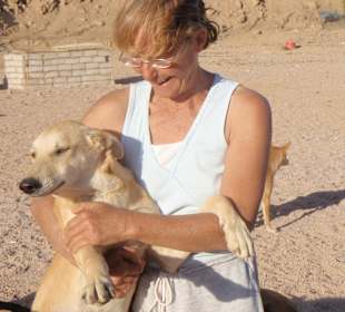 Dahab Dogs - Janet