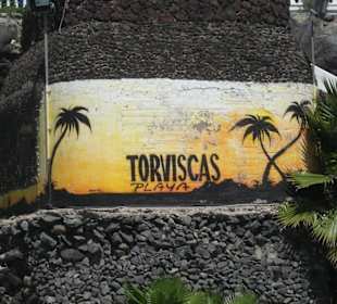 Plaz Torviscas