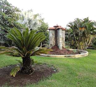 Parque Botánico de Maspalomas