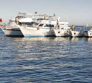 Flotte der Extra Divers Makadi Bay