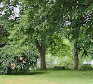 Blick vom Doktorwerder