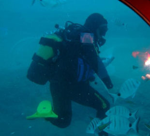 Blick aus der Subcat in 30 Meter Tiefe