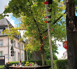 Aussicht vom Biergarten