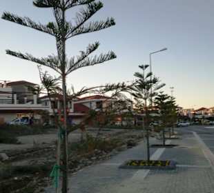 Aufgenommen vom 25.-29.11.