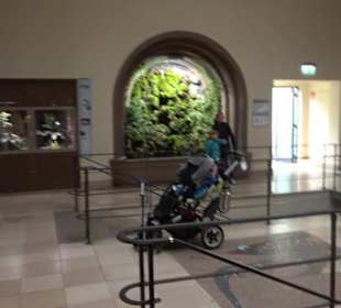 Tierpark Hellabrunn - Fische