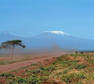 Kilimanjaro am Morgen
