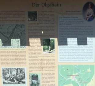 Olgahain