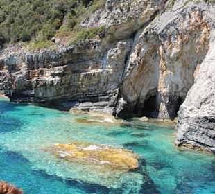 Paxos