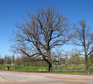 Pałac Aleksandrowski i park