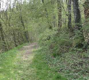 Wanderweg Hochgehswiggert