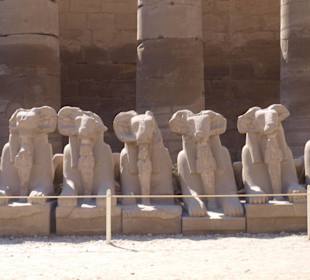 Shinxenreihe im Karnak-Tempel