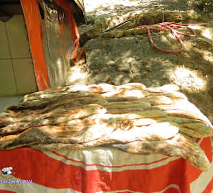 Hidden Wasserfall - lecker Brot