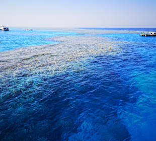 Schnorcheln Hurghada