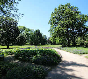 Eindrücke im Franz. Garten