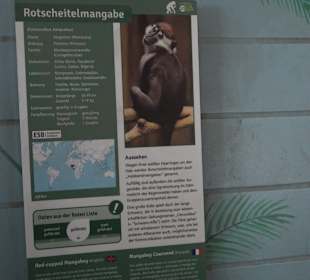 Zoologischer Stadtgarten