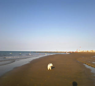 Strand in Bibione Juni 2012
