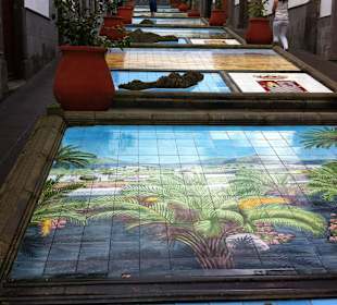  Firgas in der Straße „Calle Leon y Castillo“