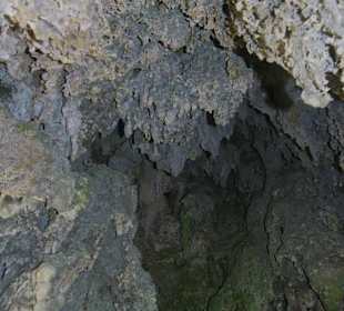 Горный нацпарк Истоки реки Уредерра, Наварра