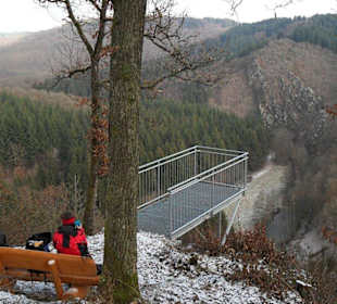 Burgblick ins Liesertal