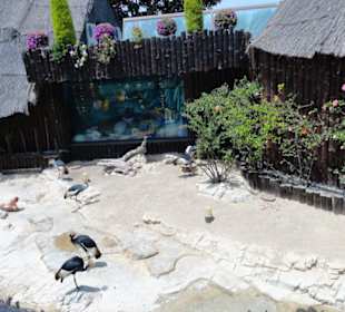 Mundomar Juillet 2011