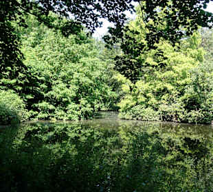 Impressionen aus dem Gesundheitspark Speckenbüttel