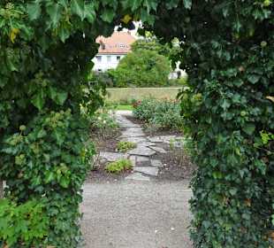 Eindrücke aus dem herbstlichen Rosengarten