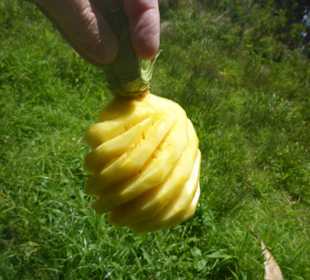 Frische während des Ausflugs