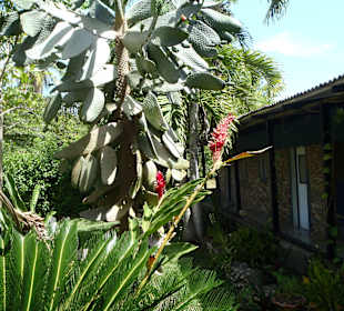 Reitausflug  – Oktober 2014